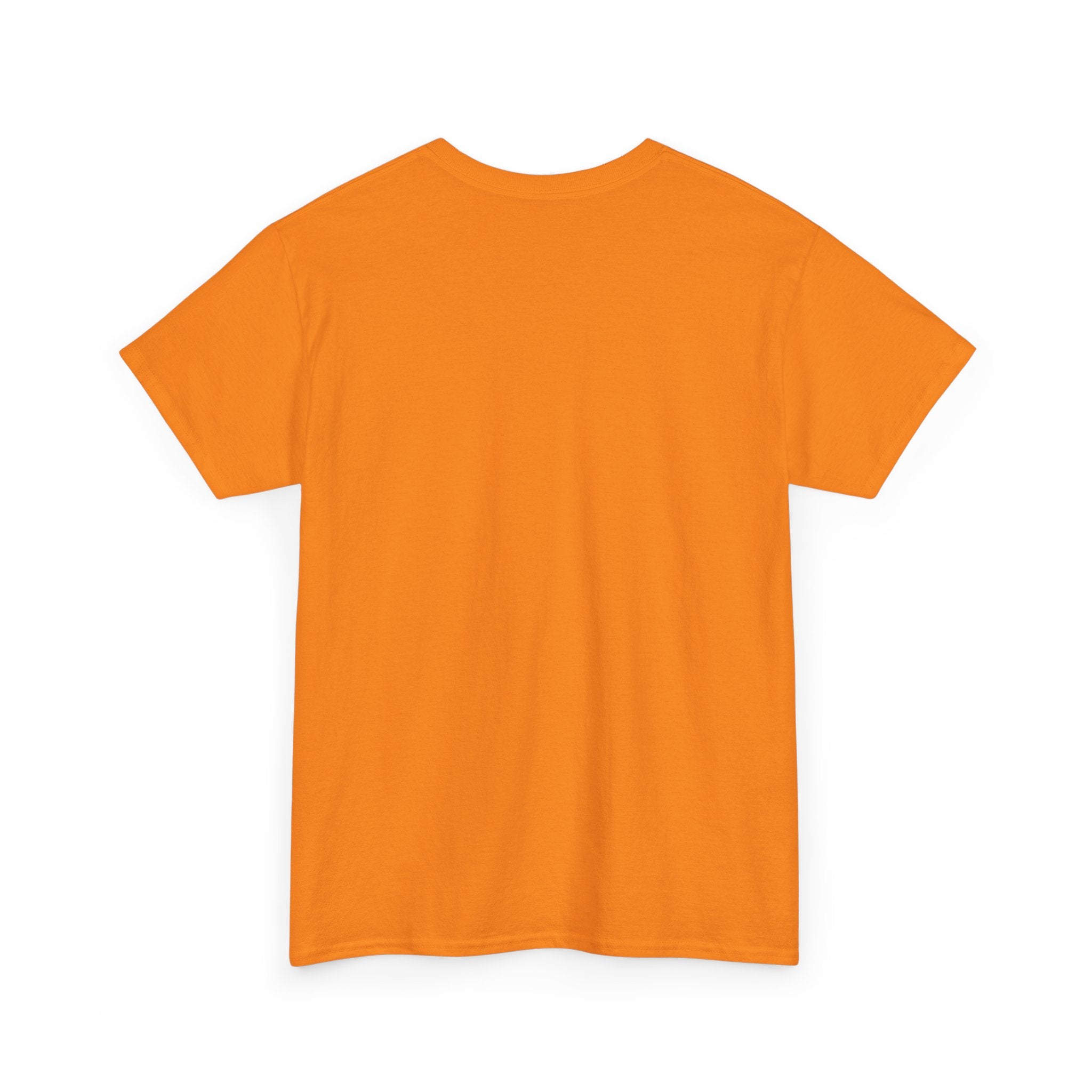I Protest & I Vote T-Shirt | Political Activism Tee, Voter Rights Shirt